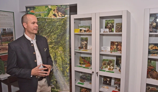  Liofilizált gombagyűjtemény kiállítás