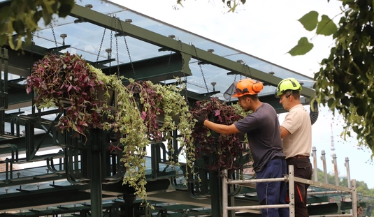 A Villanyrendőri buszmegálló virágosítása