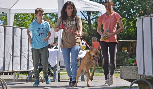 Nyílt Nap a Miskolci Állategészségügyi Telepen