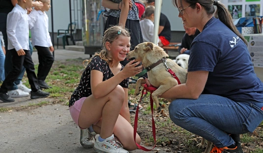 Győri kapu családi nap ifipálya