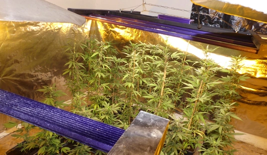 Komplett droglabort működtetett Miskolcon. Forrás: police.hu