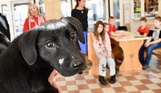 Szívmelengető akció a Fazekas iskolában. Fotó: Bujdos Tibor