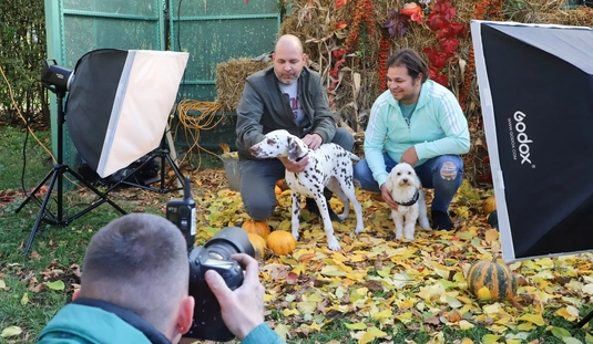 Jótékonysági kutyafotózás a Miskolci Állategészségügyi Telepen