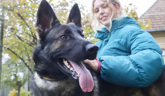 Nyílt nap a Miskolci Állategészségügyi Telepen