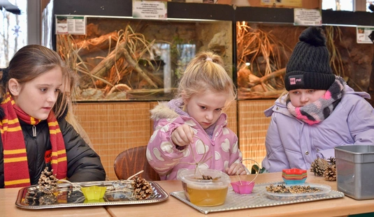 Állatok karácsonya