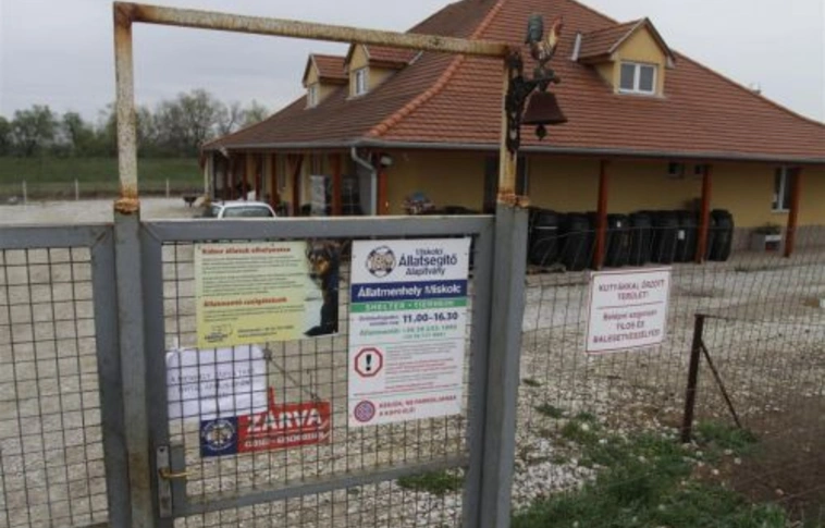 Megmenekülnek a MÁSA négylábúi?