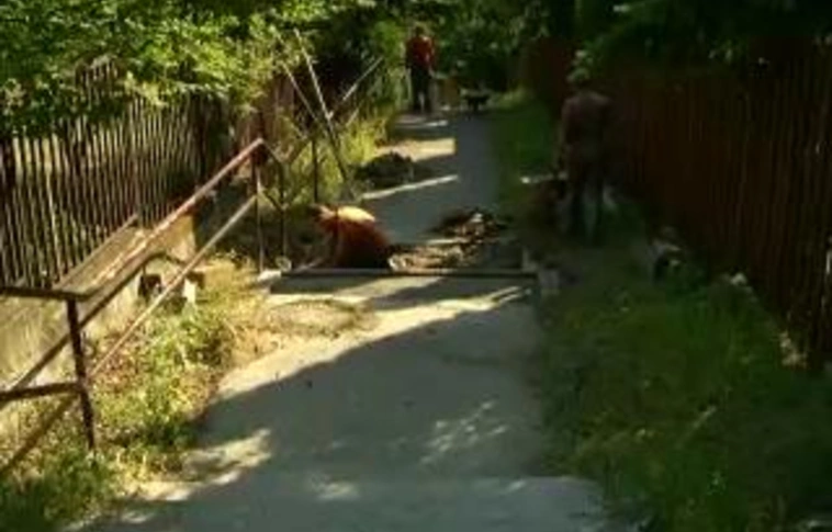 Fákat gallyaztak, lépcsősor újul meg Komlóstetőn