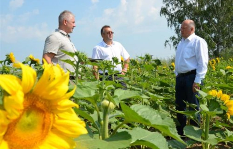 Hetven hektárnyi területet hasznosít az Agrokultúra