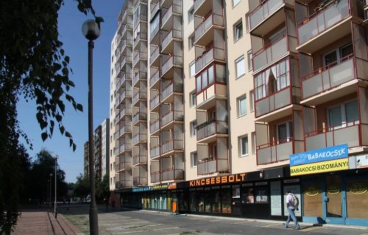 Fészekrakó-polémia