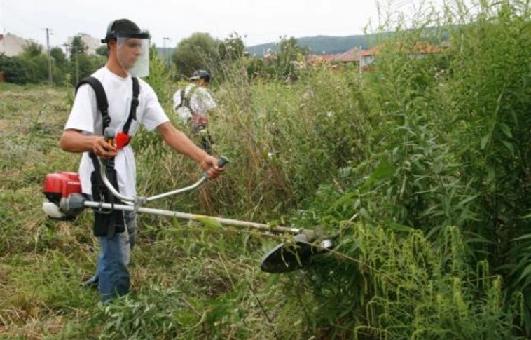 Az eső segítette az allergiásokat