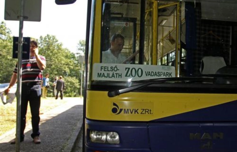 Sikeres a ZOO busz – közkívánatra plusz egy járat