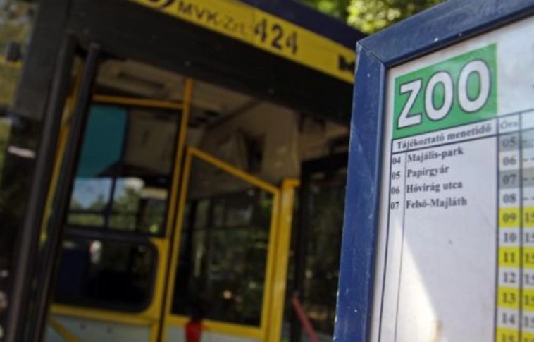 ATTAC: ZOO járat (is) igény szerint