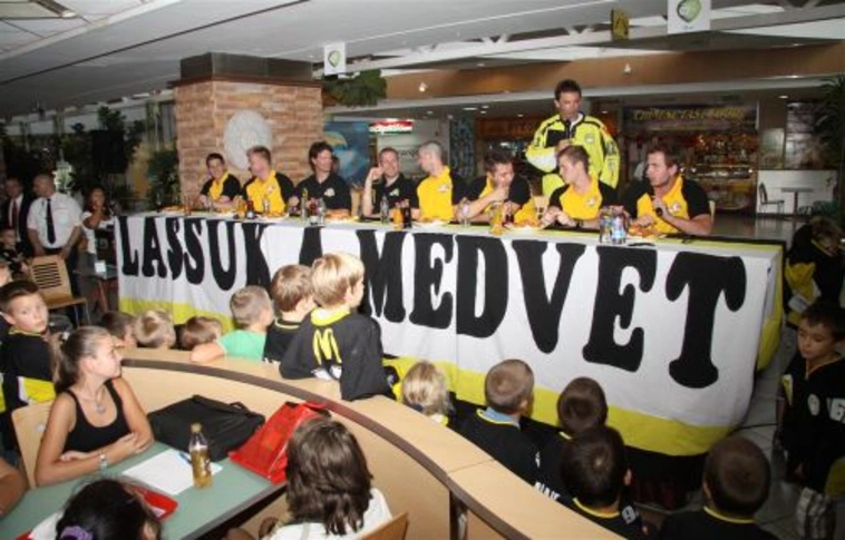 Jegesmedvék a múzeumi képtárban