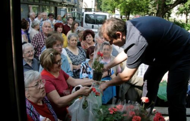 Újra ingyenes muskátli-akció a Szentpéteri kapuban