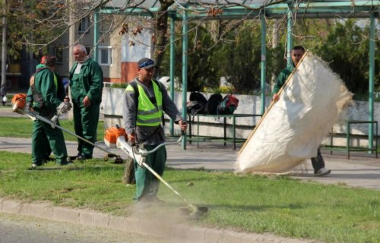 Füvet nyírnak, virágot ültetnek, takarítanak