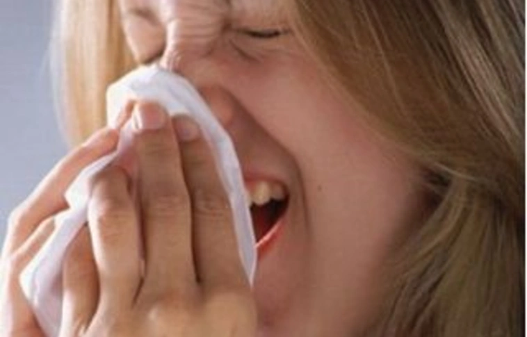 Nem támad az influenza Borsodban