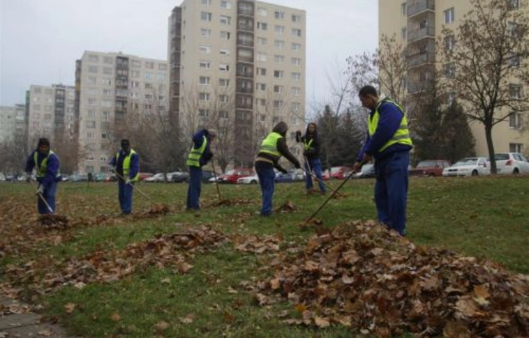 Fokozott figyelem az avar összegyűjtésére, elszállítására