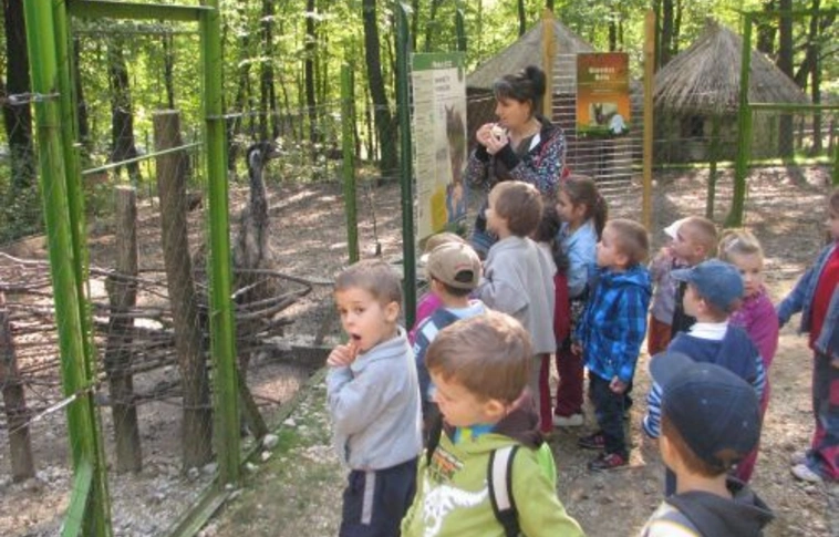 Állatok világnapja a miskolci állatkertben