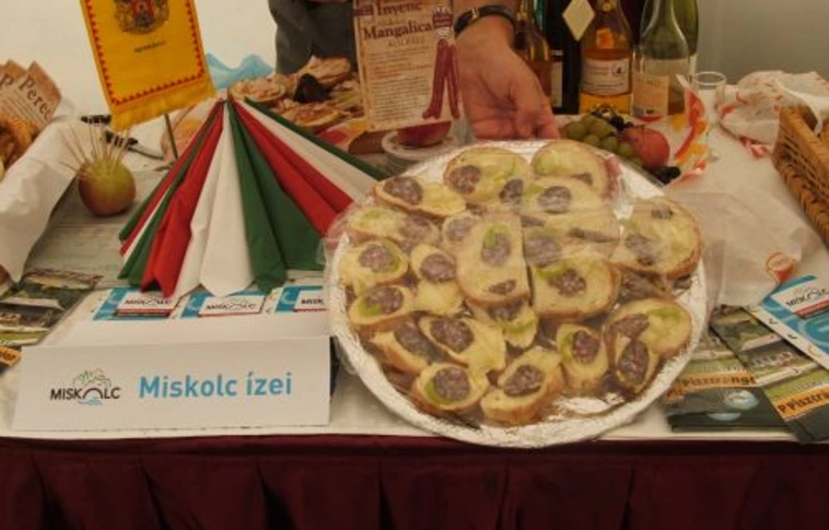 „Felemelő feladat volt Miskolcot képviselni”
