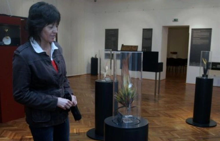 Óceánia ékszerei Miskolcon