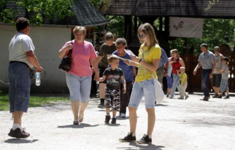 Az állatok világnapjára és a medvebocsok érkezésére is készülnek