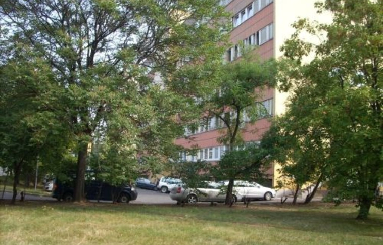 Eltűnt a sitt és a dzsungel is