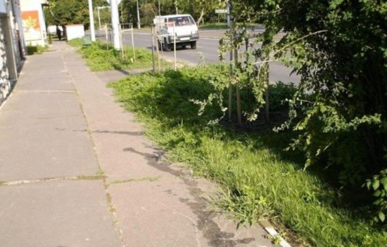 Kaszálnak az Andrássyn is 