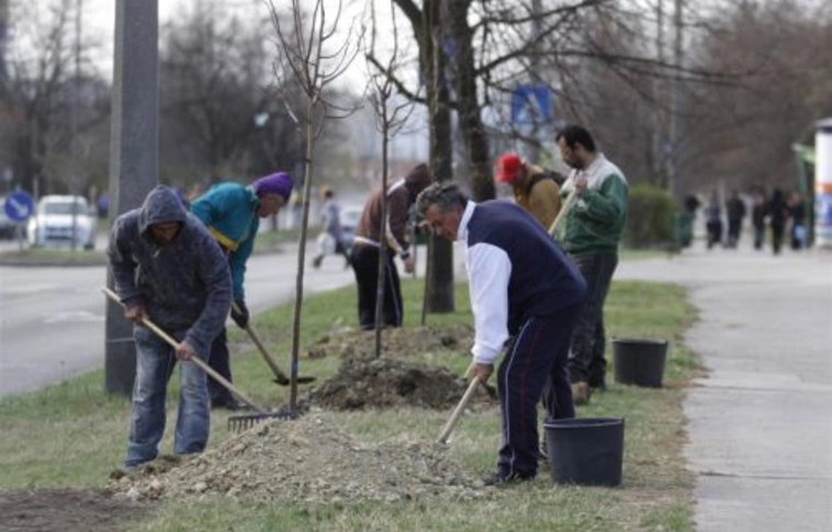 Az Avastetőn takarítottak