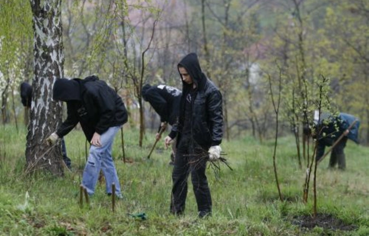 A Jobbik a Szimbiózisról
