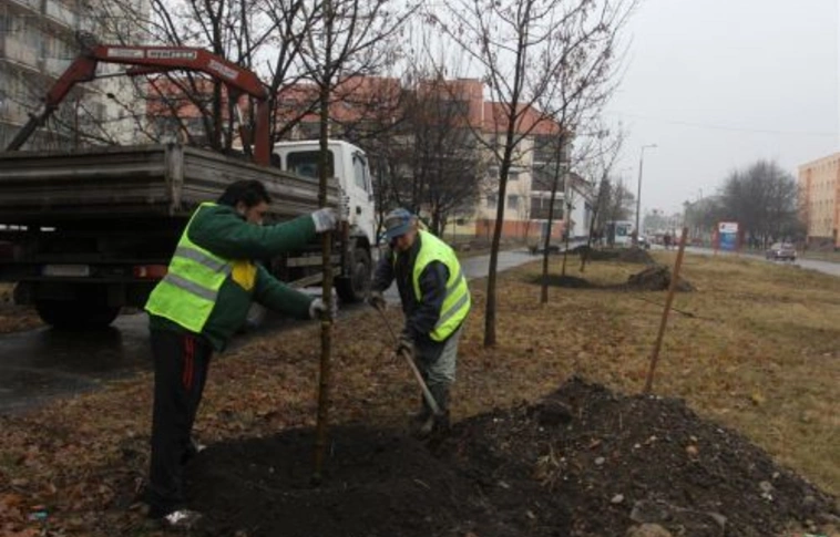 Faültetés, padok, szemetesek