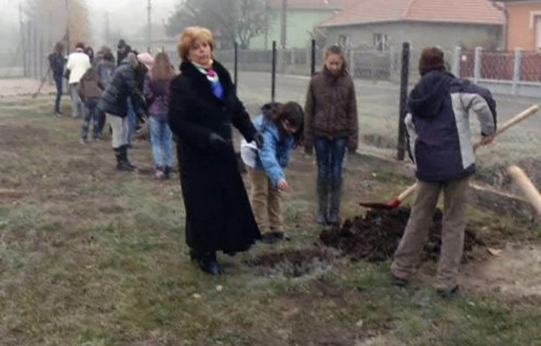 Fát ültettek Szirmabesenyőben