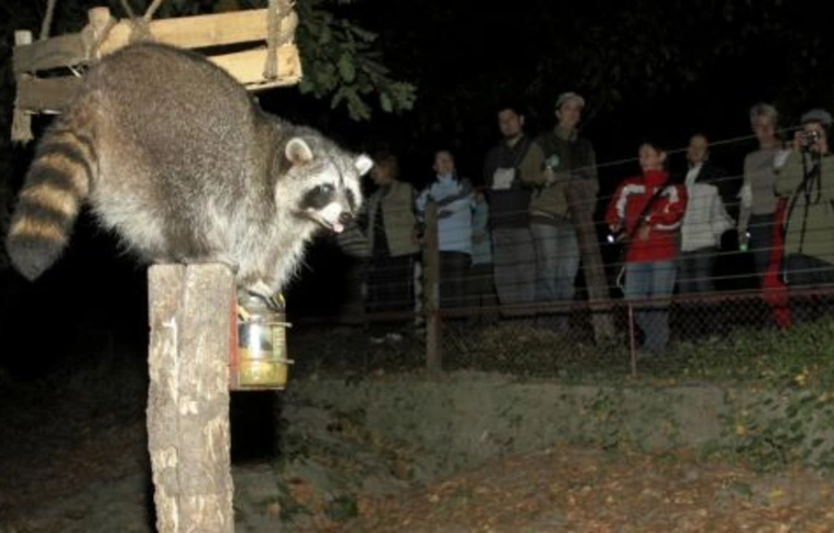 Ismét éjszakáztak a Zoo-ban