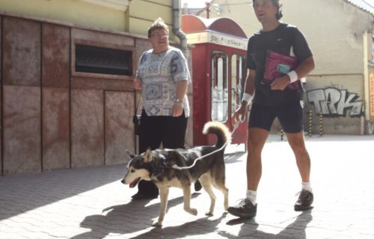 Miskolcra érkezett az olasz vándor és hű társa