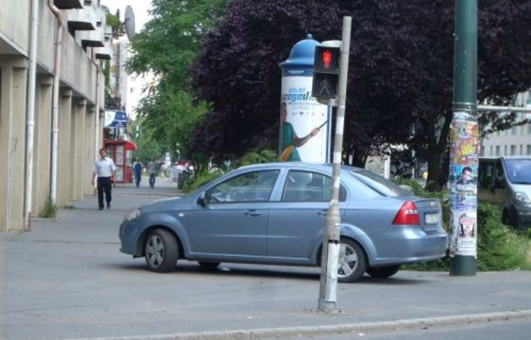 Egy autóval két zebrát is megbénított!