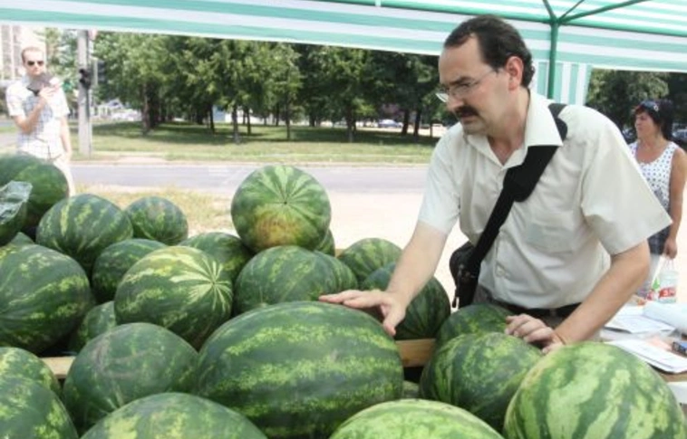 Miskolcon is ellenőrzik a dinnyéket