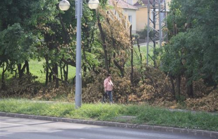 Gallyaztak a Szentpéteri kapuban