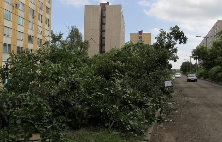 Parkoló épül a fasor helyén