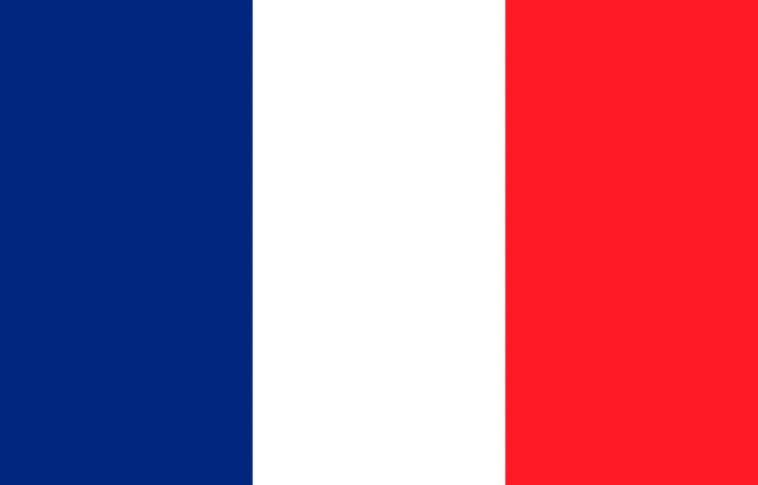 Domenech szűkítette a francia keretet
