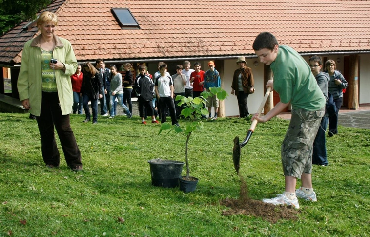 Madarak és fák napja