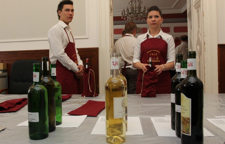Miskolc Város Bora 2010