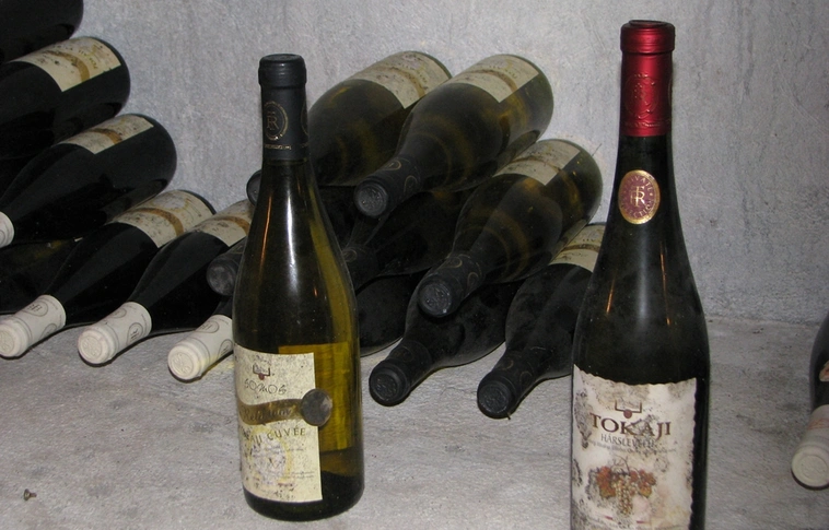 Miskolc Város Bora 2010