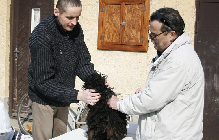 Eboltás Miskolcon