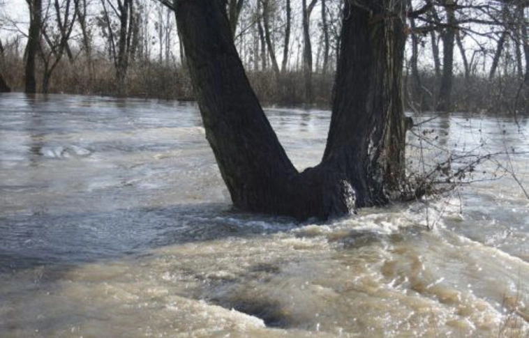 Belvízhelyzet