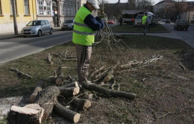 Beindult az IVS a Palóczyn is