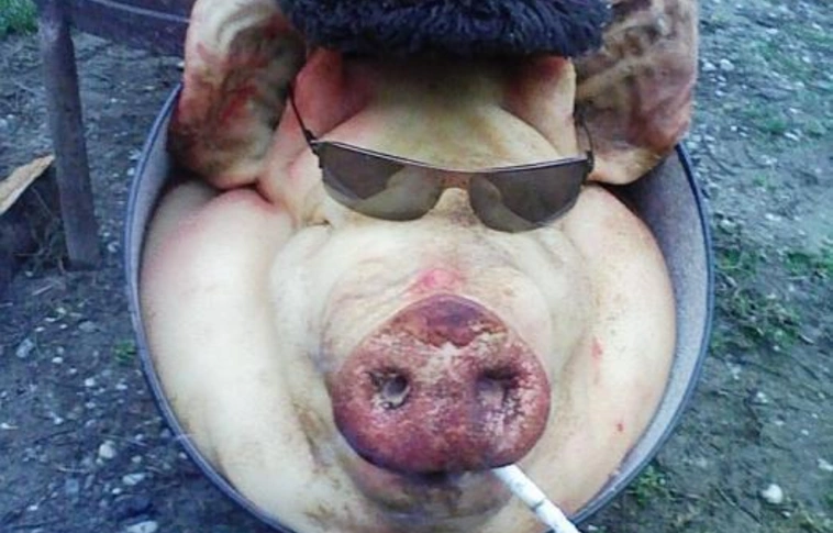 „Böllérfesztivál” Ónodon