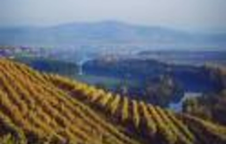 Folytatódik a vita a tokajiról