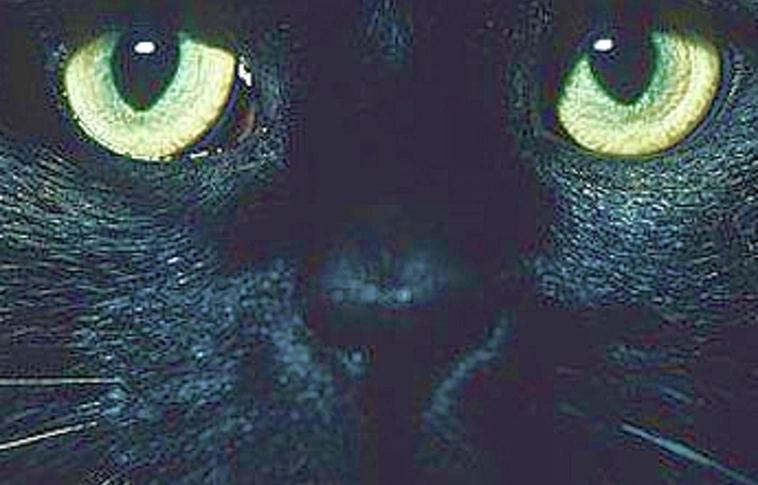 Péntek 13.