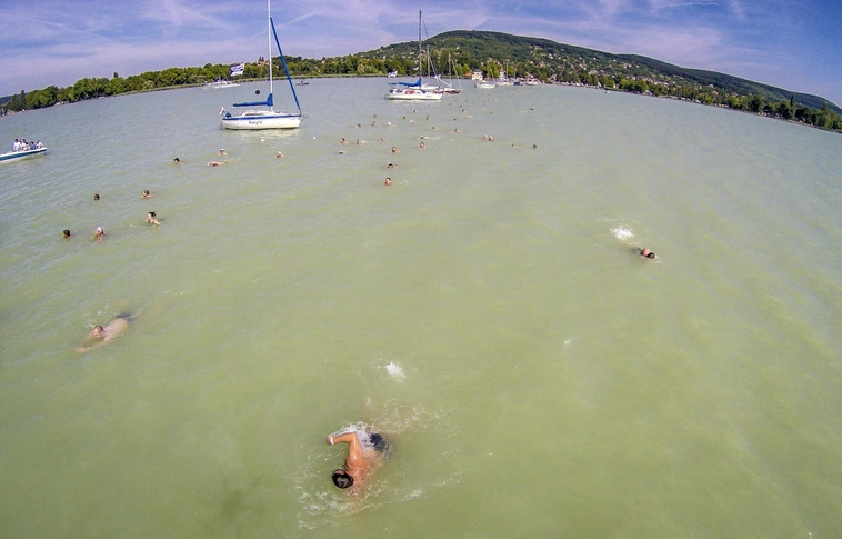 Több mint nyolcezren vettek részt az idei Balaton-átúszáson