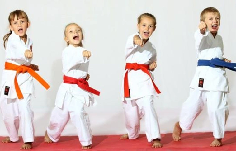 Judo, karate, birkózás és úszás: aranyos, ezüstös győzelmek 