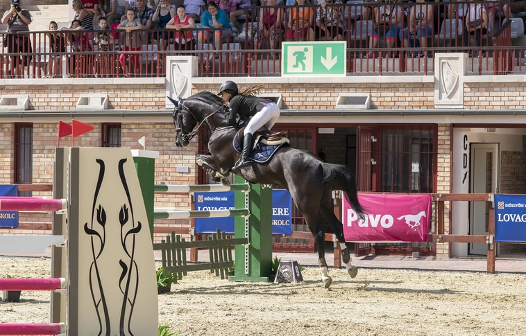 A régió legjobb lovasai mérik össze tudásukat